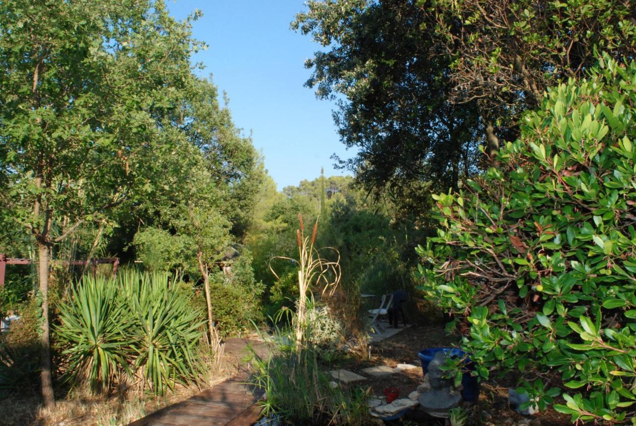 Le Chalet De La Villa Terre Neuve Signes Εξωτερικό φωτογραφία